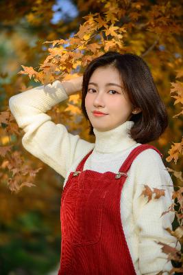 少帅免费连续剧48集在线观看